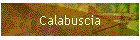 Calabuscia