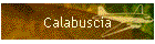 Calabuscia