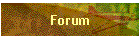 Forum