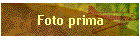 Foto prima