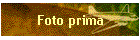 Foto prima