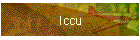 Iccu