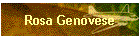Rosa Genovese