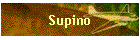 Supino
