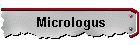 Micrologus