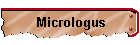 Micrologus