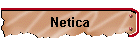 Netica