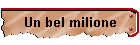 Un bel milione