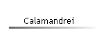 Calamandrei