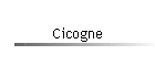 Cicogne