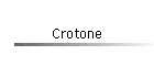 Crotone