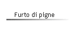 Furto di pigne