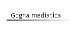 Gogna mediatica