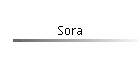 Sora