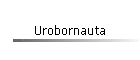 Urobornauta