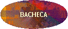BACHECA