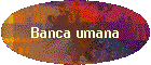 Banca umana