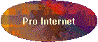 Pro Internet